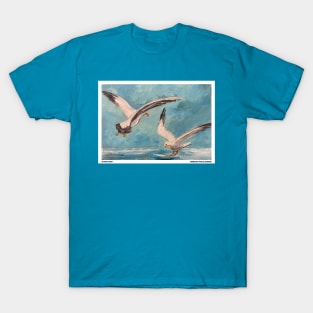 Ocean Seagulls T-Shirt